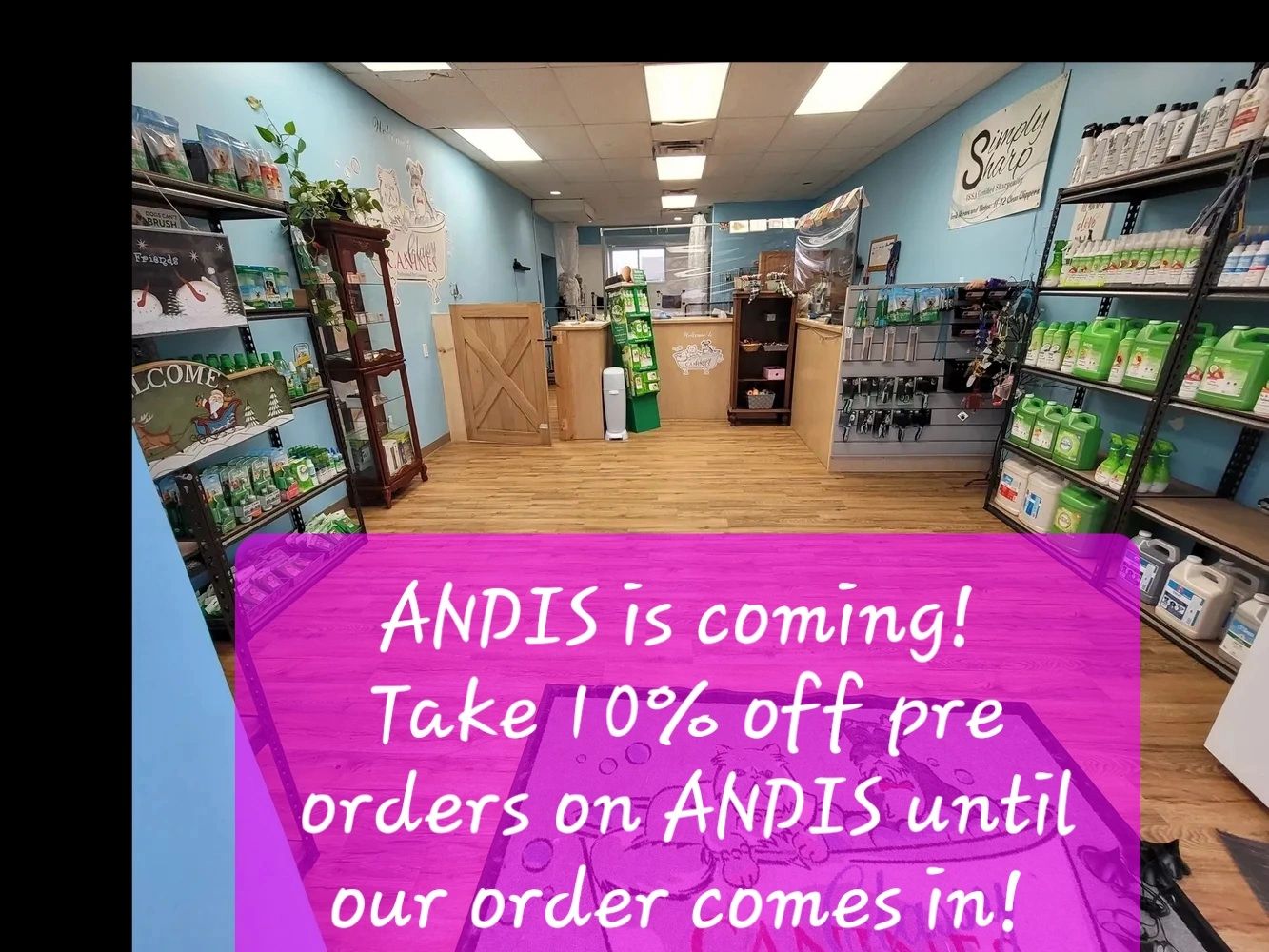 Classy Canines Kingston Pet Supply Store, Nagayu, Cat Grooming